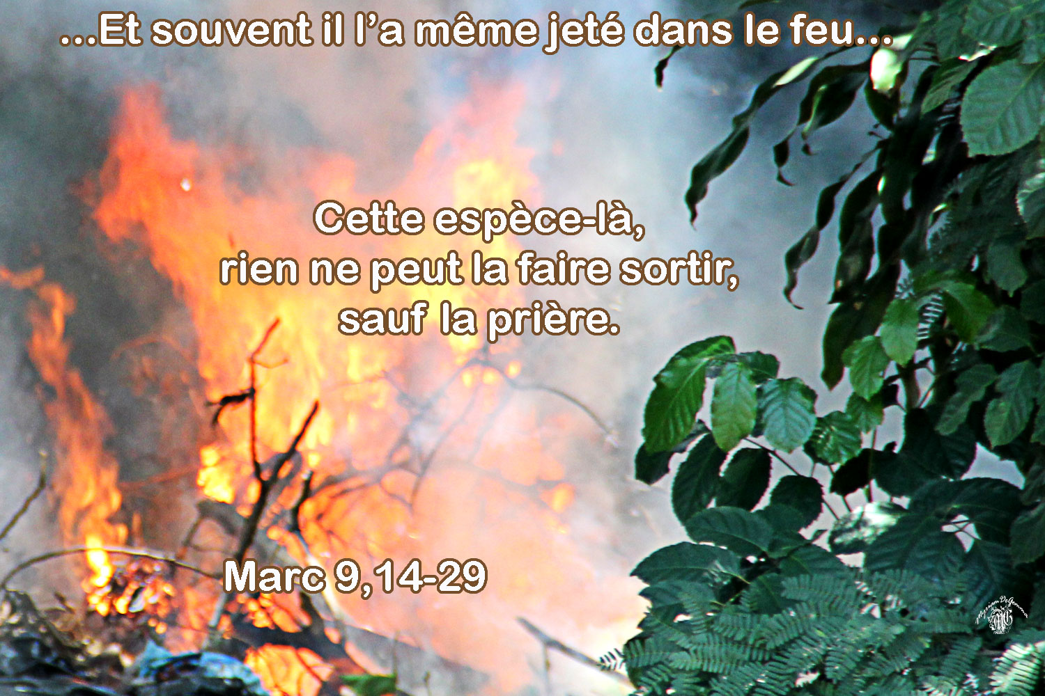 Résultat de recherche d'images pour "Marc 9,14-29."