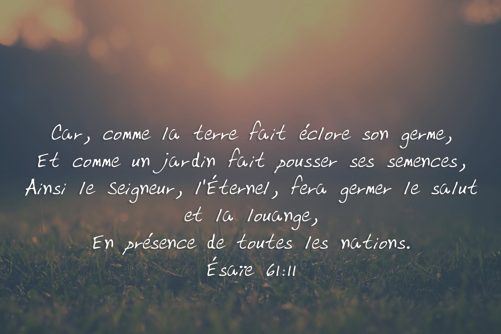 l'ETERNEL fera germer le salut