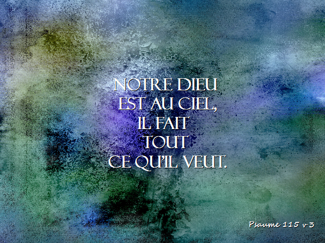 Iris de la bible: janvier 2017