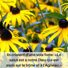 Le salut est à notre Dieu - Apocalypse 7:10 - Méditations quotidiennes -  Journal Chrétien